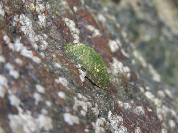 옆에서 본 모습